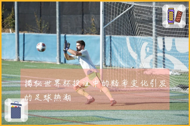 揭秘世界杯投注中的赔率变化引发的足球热潮