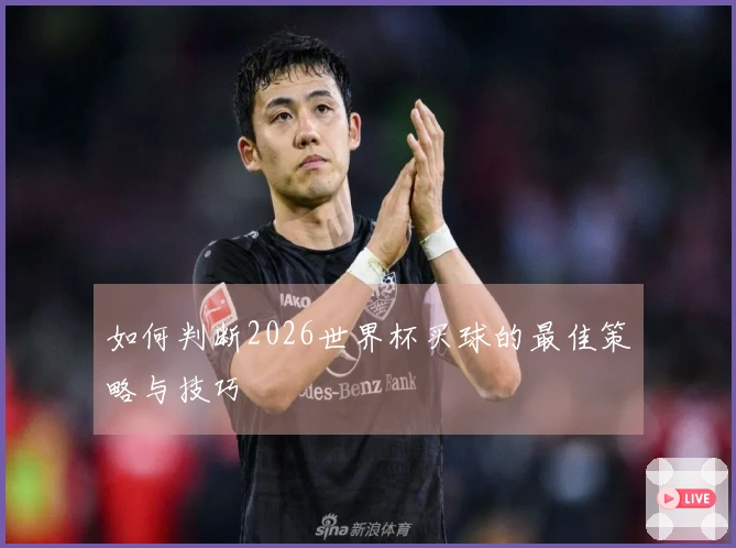 如何判断2026世界杯买球的最佳策略与技巧