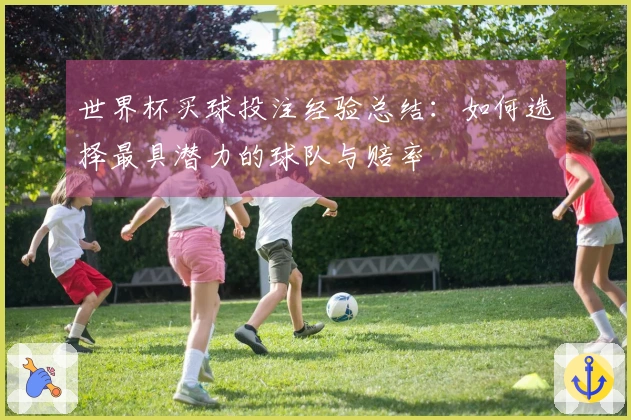 世界杯买球投注经验总结：如何选择最具潜力的球队与赔率