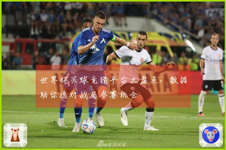 世界杯买球竞猜平台大盘点，数据助你选对战局参赛机会