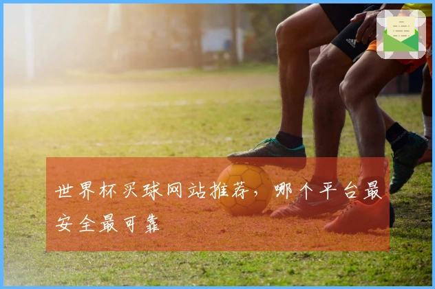 世界杯买球网站推荐，哪个平台最安全最可靠