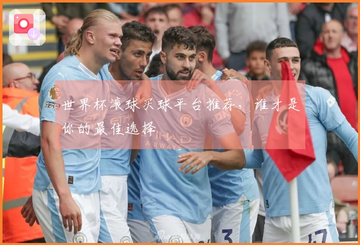 世界杯滚球买球平台推荐，谁才是你的最佳选择