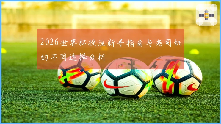 2026世界杯投注新手指南与老司机的不同选择分析