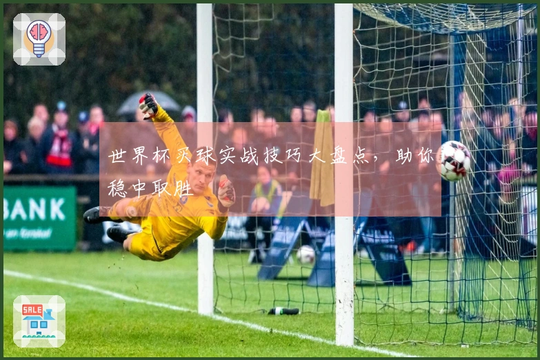 世界杯买球实战技巧大盘点，助你稳中取胜
