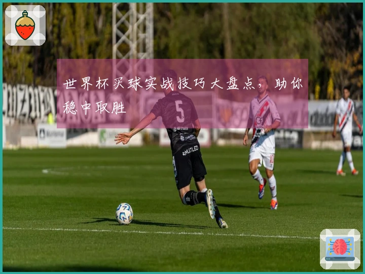 世界杯买球实战技巧大盘点，助你稳中取胜