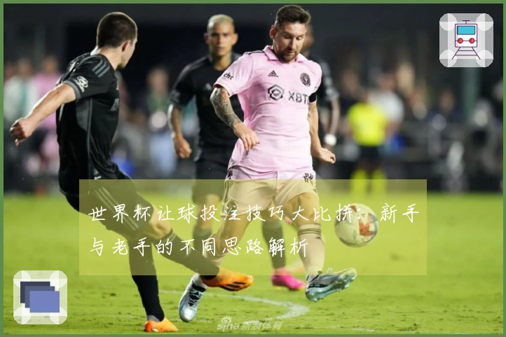 世界杯让球投注技巧大比拼：新手与老手的不同思路解析
